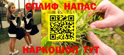 шишки Пугачёв