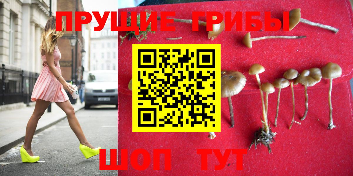 Псилоцибиновые грибы Magic Shrooms Полевской